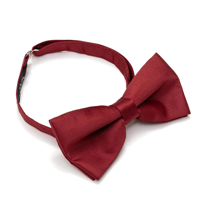PIERRE CARDIN BOW TIE