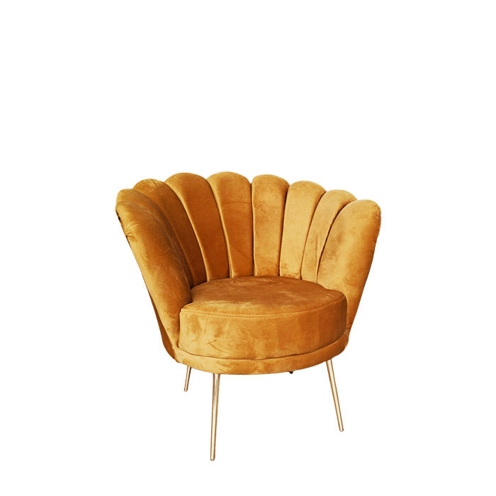 DAISY DESIGN LOUNGE CHAIR