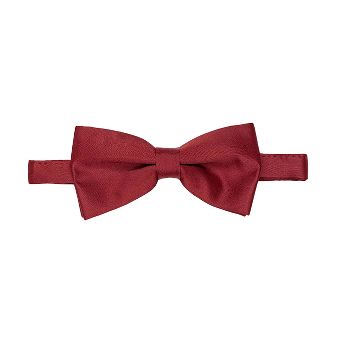PIERRE CARDIN BOW TIE