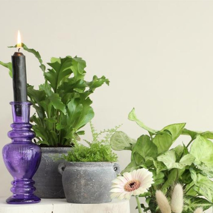 CANDLE HOLDER VENICE PURPLE VASE 23 CM